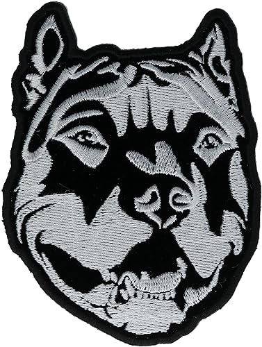 Parche Pitbull Dog IVANP3530 F3D8J 3 34 pulgadas