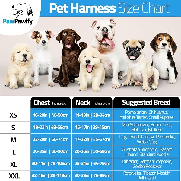 PawPawify, Dog Harness Heavy Duty Anti Pull Pull or Choke Dog Harness for Training Walking Customized with Name and Phone XS Chest 17-22" Multicolor - 5