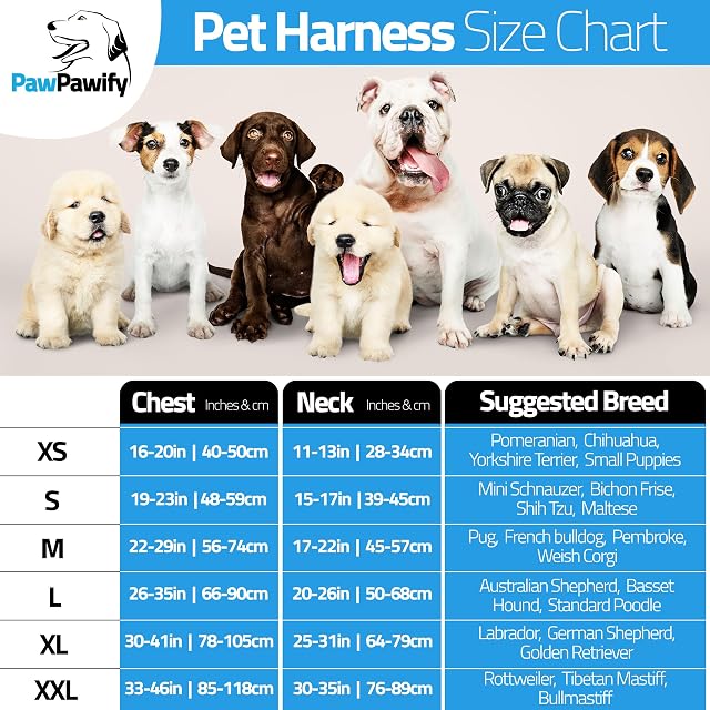 Foto 5 de 6 de PawPawify Arnés para perro personalizable con nombre y número de teléfono. Chaleco resistente para mascotas…