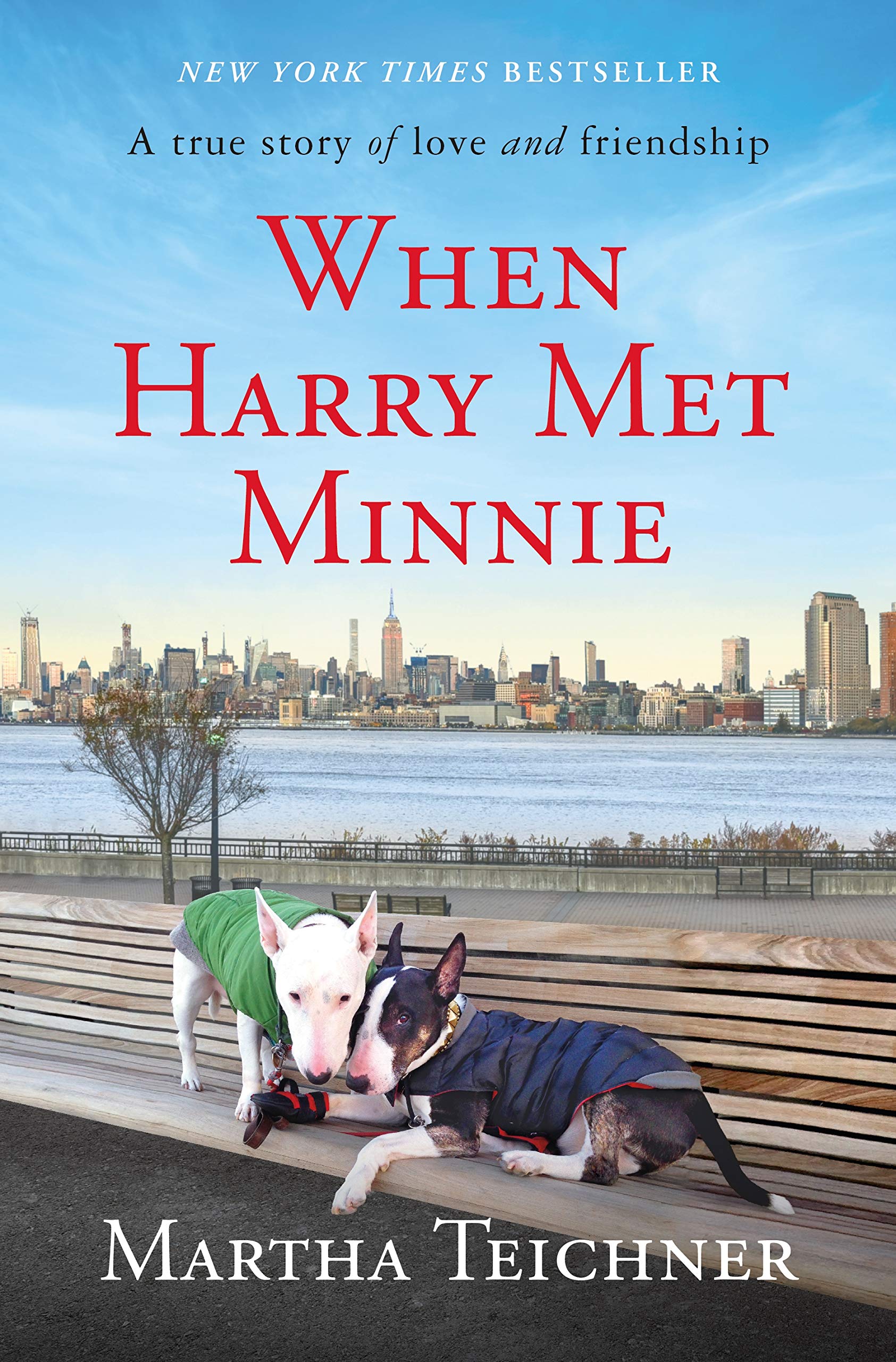Buy When Harry Met Minnie — BookShops.in