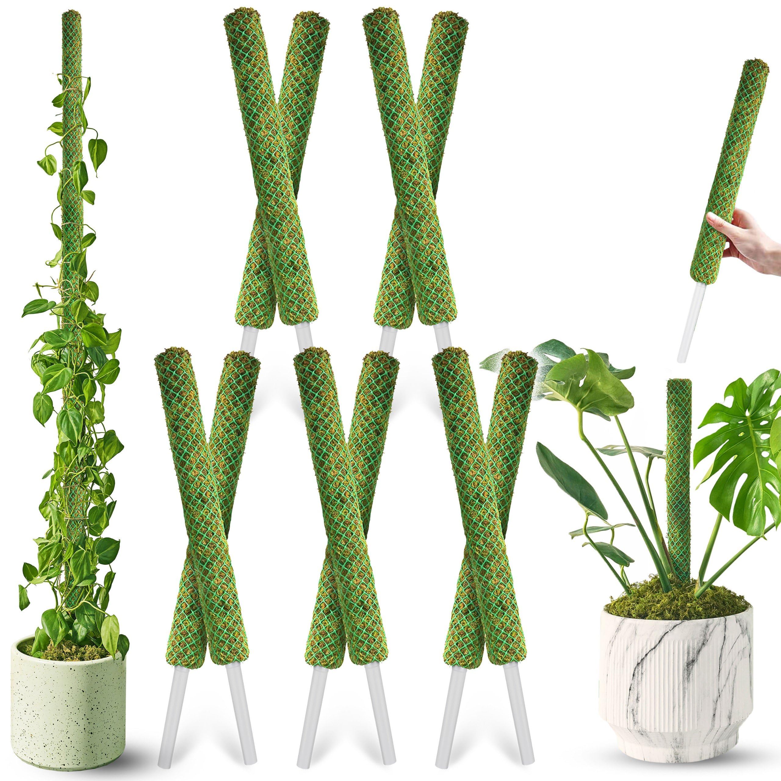 Amazon.com : DUSPRO 10Pcs 22'' Green Stackable Mesh Moss Pole for