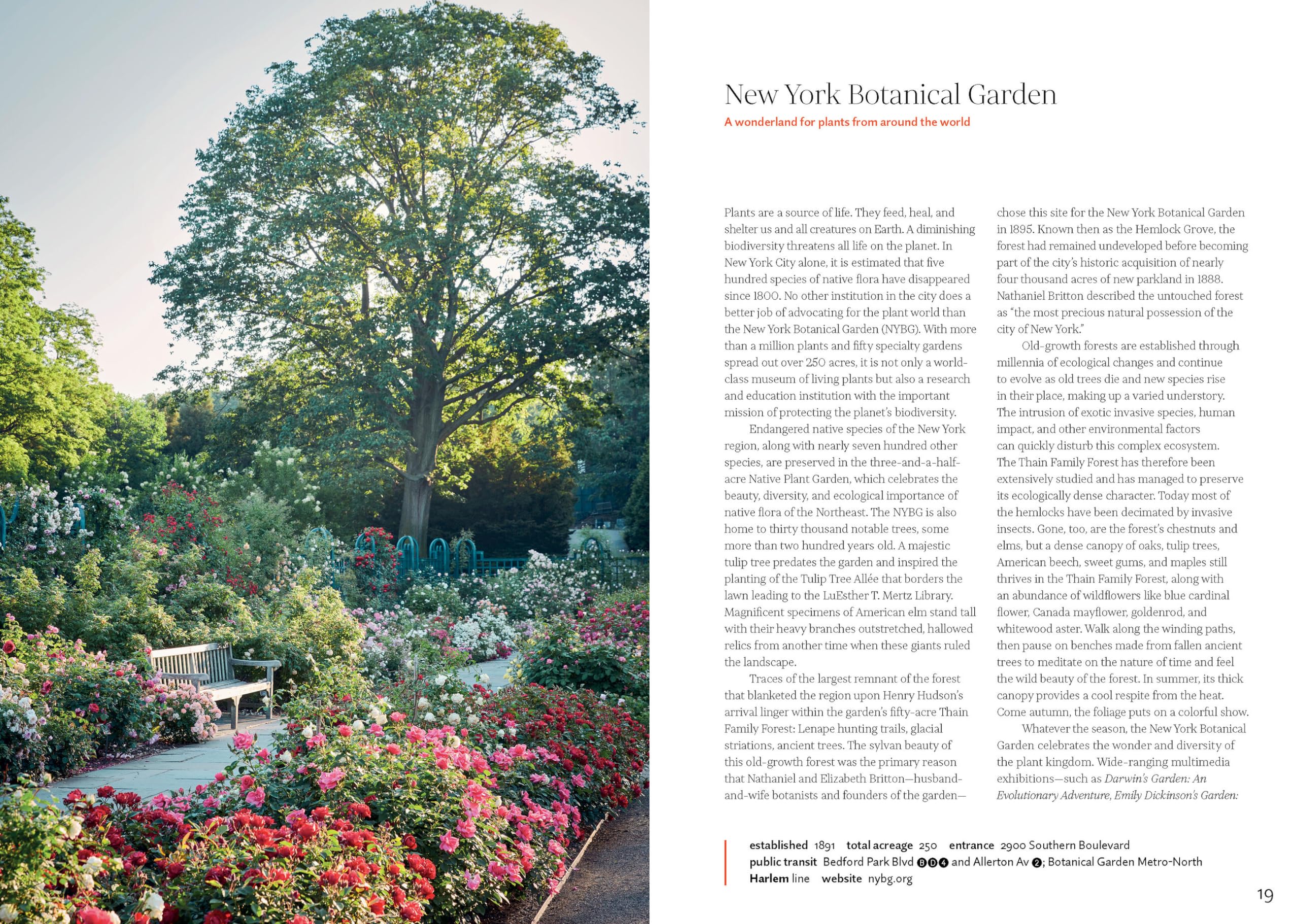 New York green: discovering the city's most treasured parks and gardens