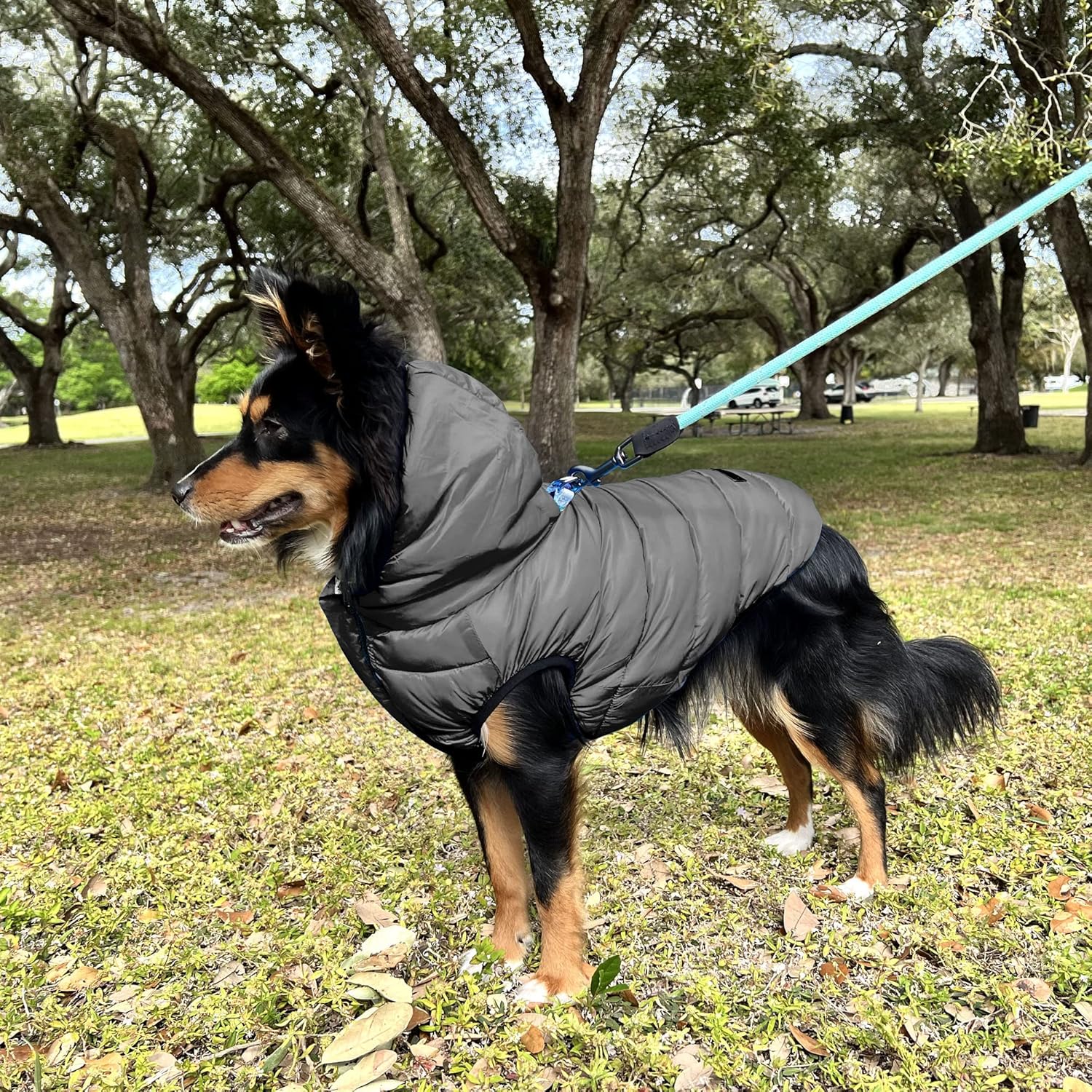 Pawtitas Reversible Dog Windproof Jacket | Water Resistant | Dog Coat for Winter to Keep Your Puppy Warm for Cold Weather Jacket | Pink - Grey Up Dog Vest for Toy Breed Dogs - Pouch Included