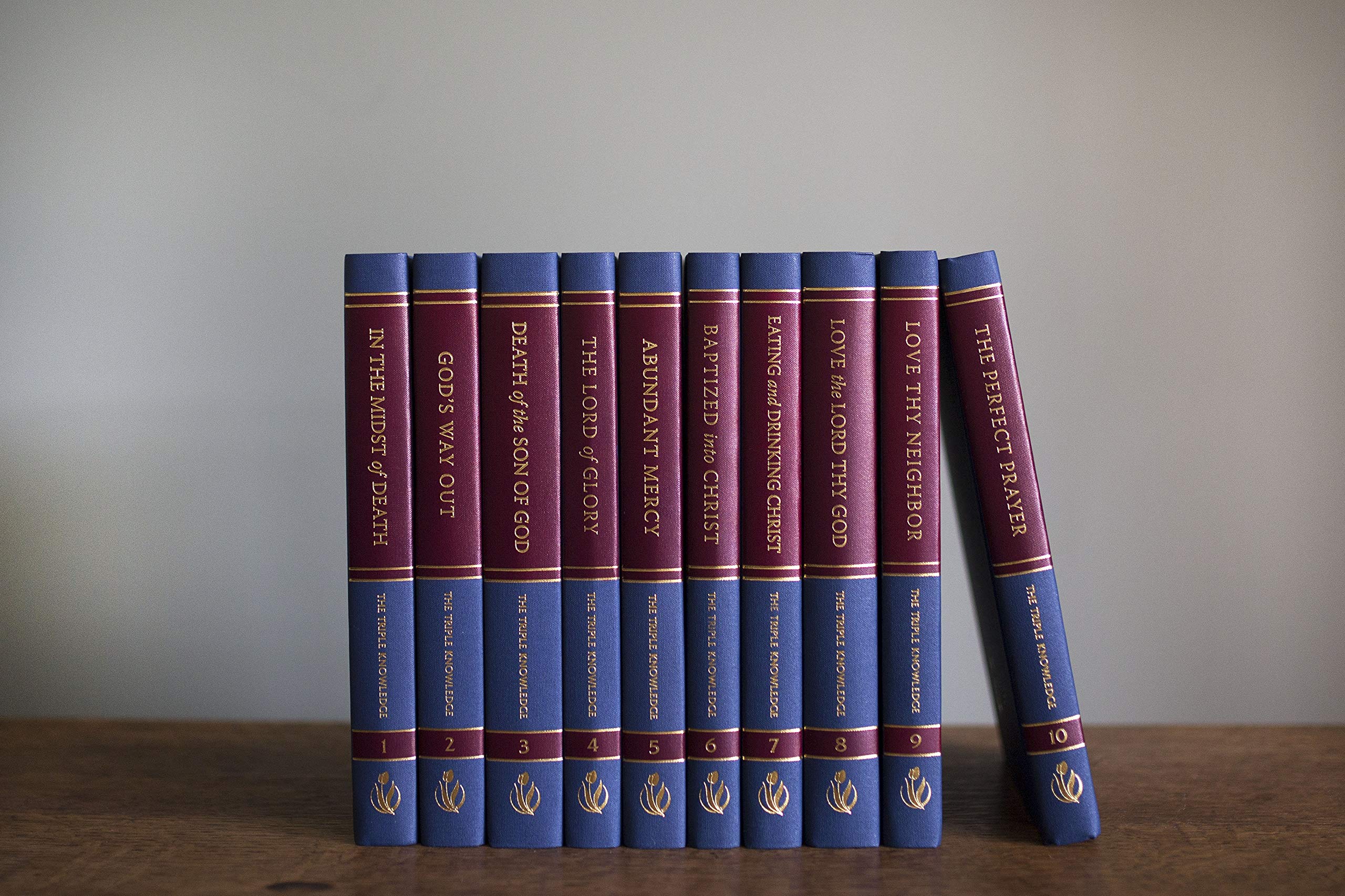 Buy The Triple Knowledge: An Exposition of the Heidelberg Catechism (10 Volume Set) — BookShops.in