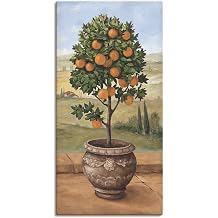 ARTLAND Wanddeko Leinwand Bilder Wandbild Toskana Orange Baum Italien Landschaft Mediterran Botanik Terracotta T4NI