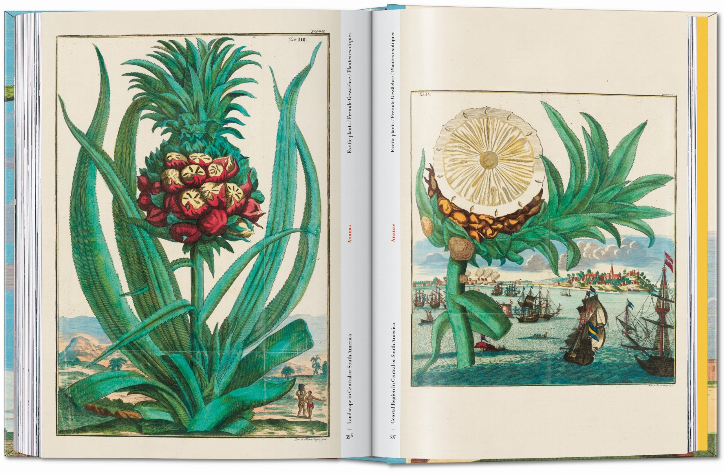 J.C. Volkamer: The Book of Citrus Fruits. 45th Ed.