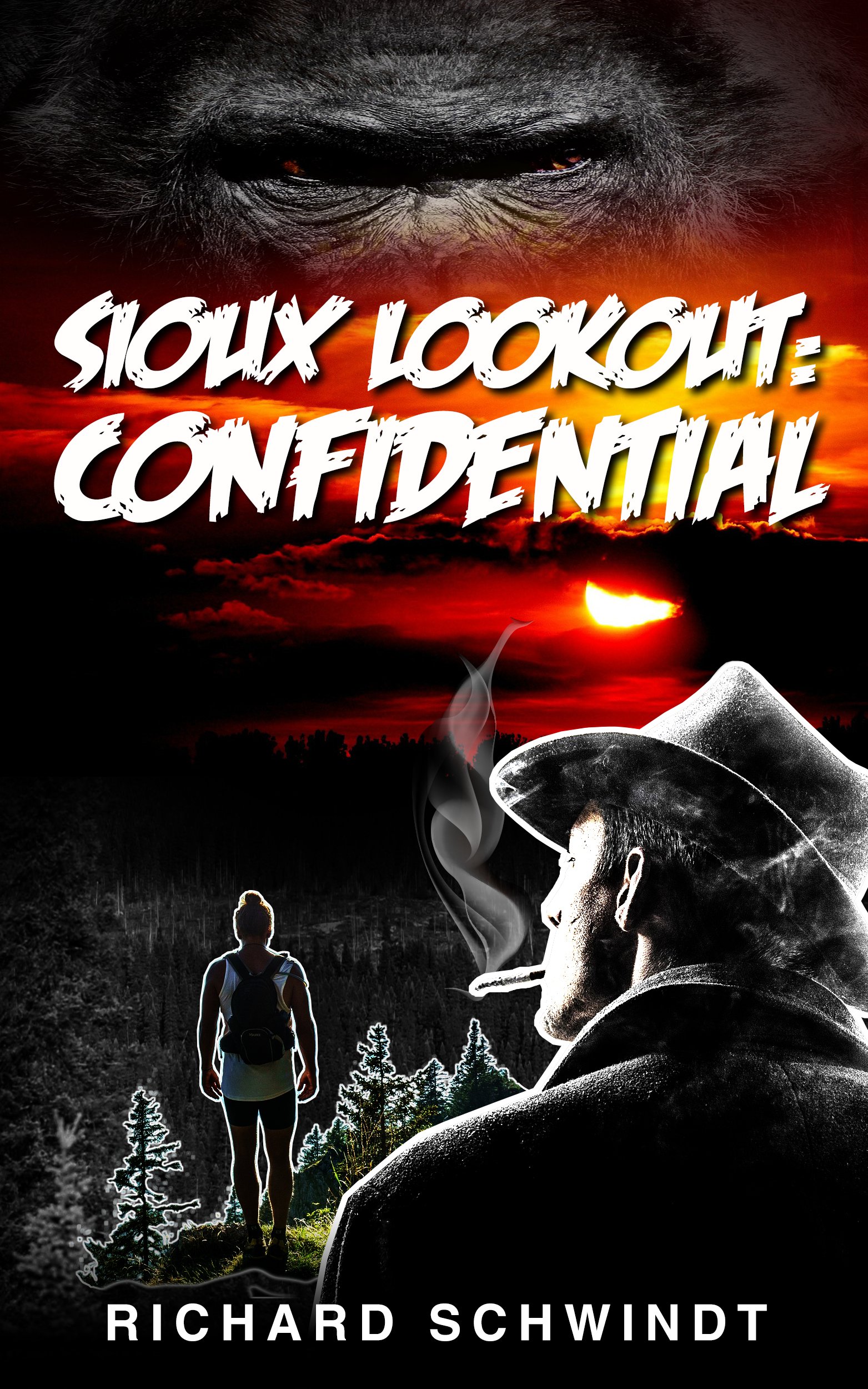 Sioux Lookout: Confidential (Tony Price: Confidential Book 2)