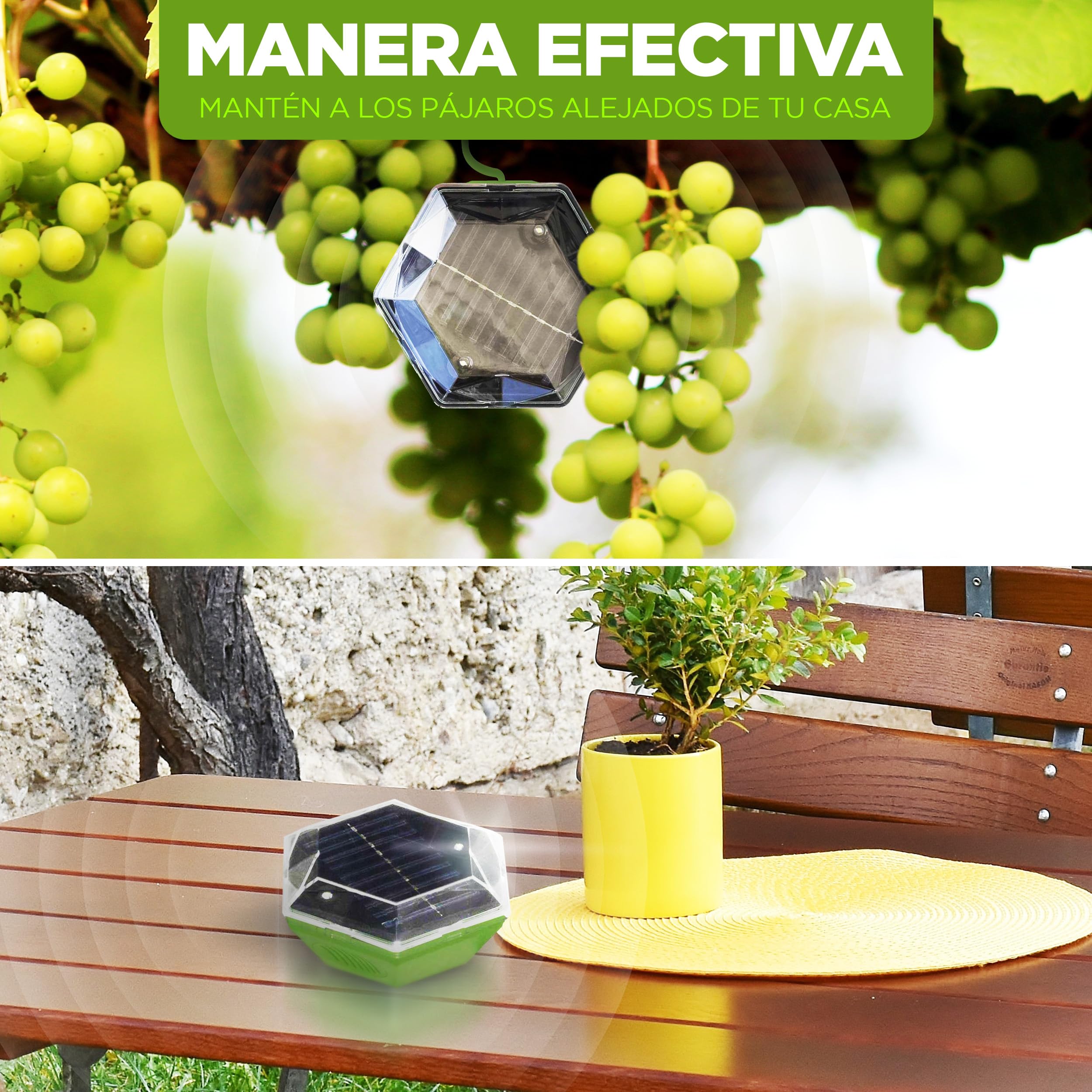 ISOTRONIC Repelente Solar para Aves — Flash y Ultrasonido para Palomas, Gaviotas y Cuervos — Ahuyentador para Balcón y Jardín — Alcance Efectivo 150 m² — Pack de 1 Unidad