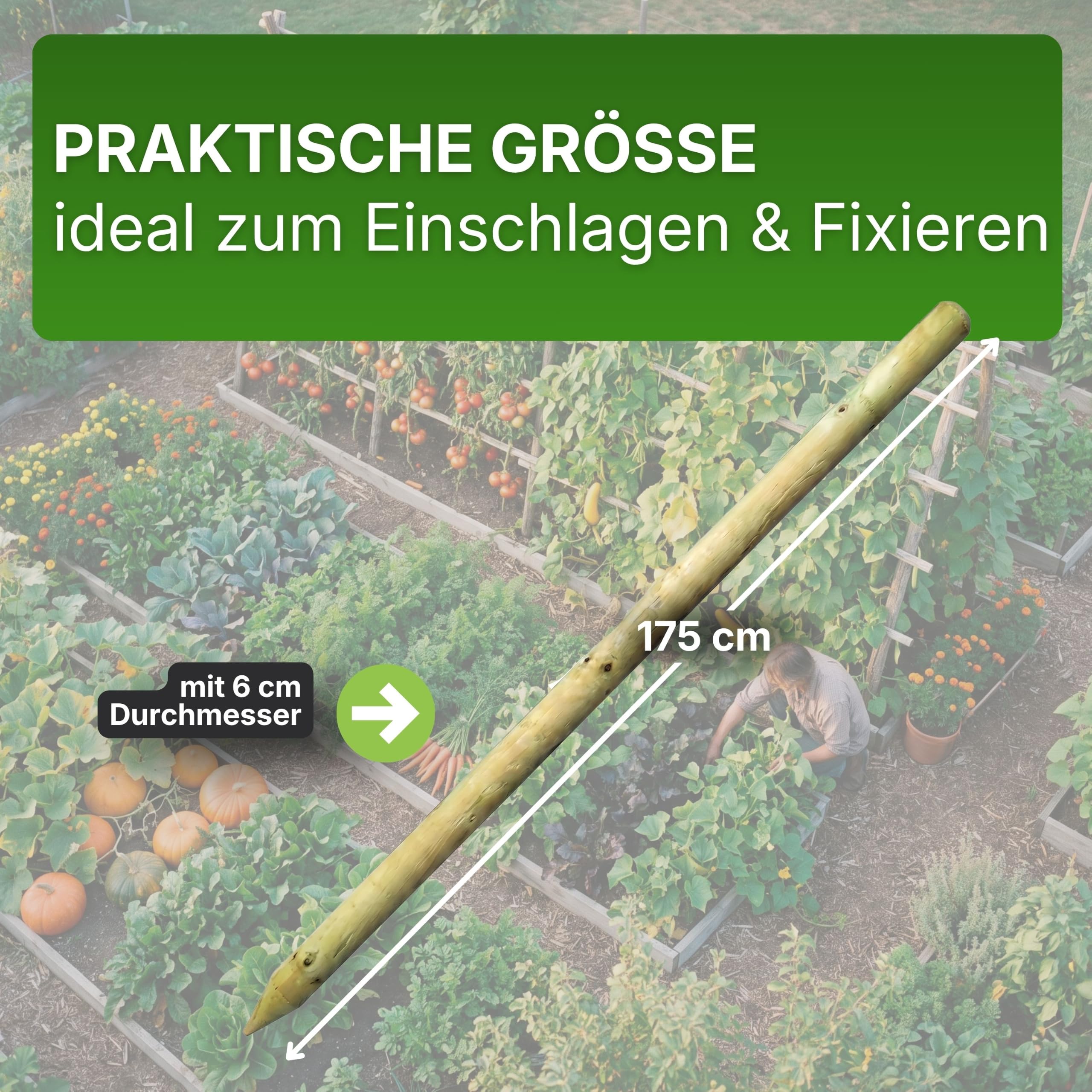 Gartenwelt Riegelsberger Holzpfahl Kiefer KDI Ø 6 x 175 cm 10 Stück | Imprägniert, gefräst & gespitzt | Pflanzpfahl, Rankstab & Rankhilfe für Tomaten, Gurken und Kletterpflanzen