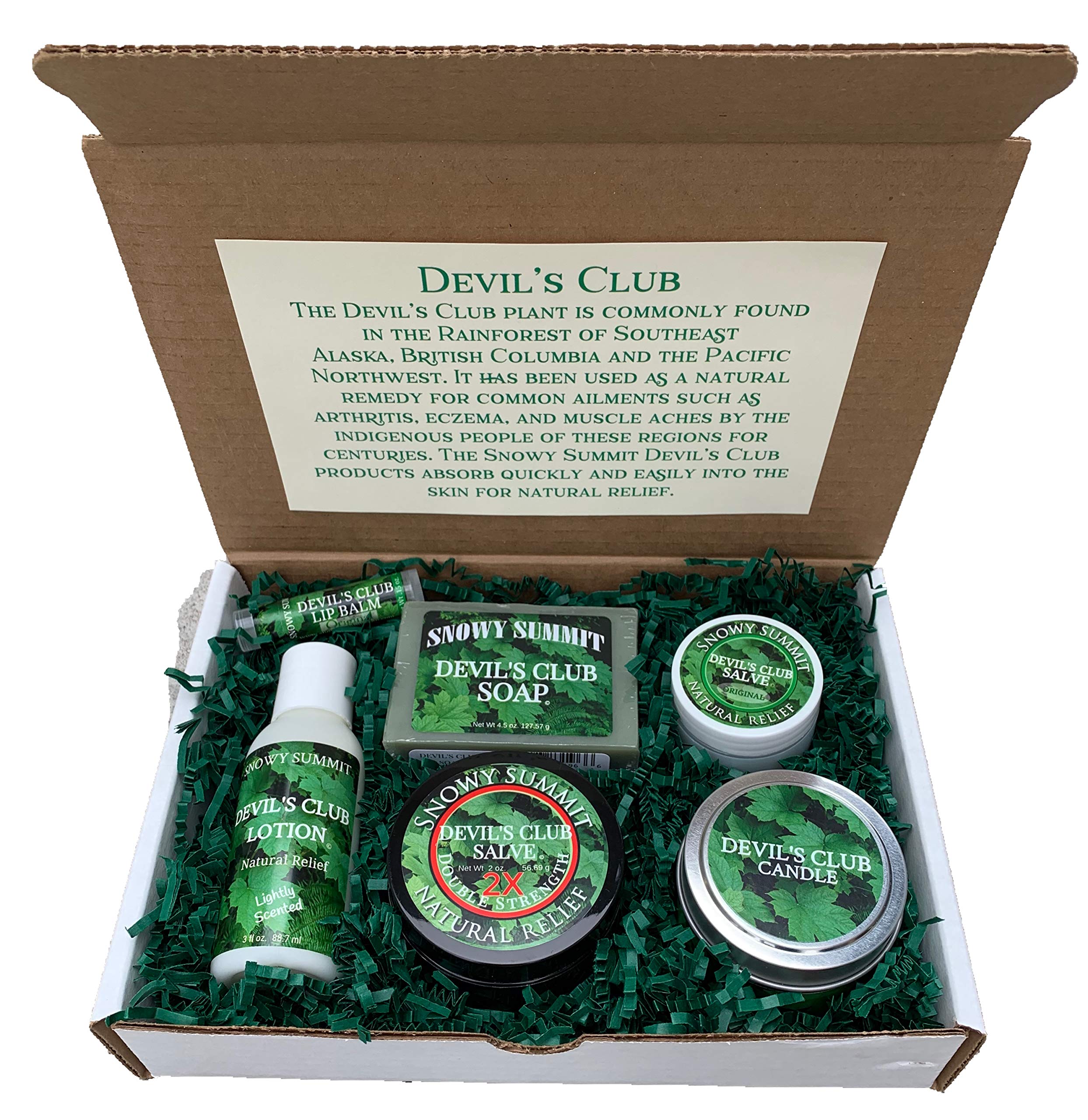 Alaskan Devil's Club Gift Set - Natural Skincare Collection with Salve, Body Lotion, Lip Balm, Soap & Candle - Handcrafted Beauty Care Package for Skin Care & Gifting