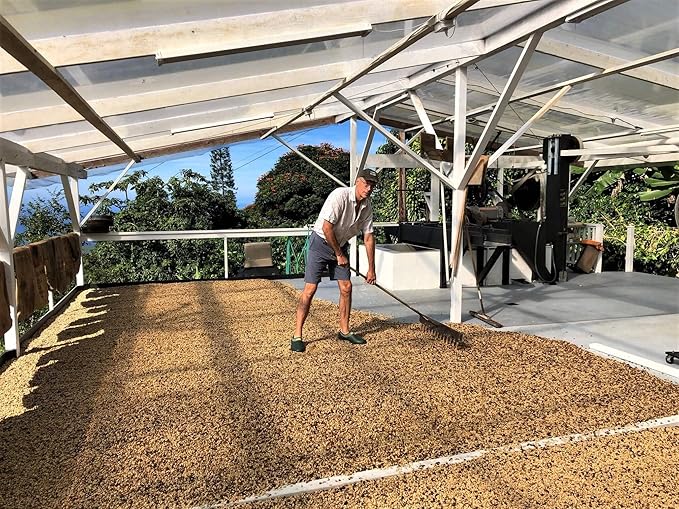 Café 100% Kona en Grano Tostado Medio 8 oz - Domain Kona miniatura 7