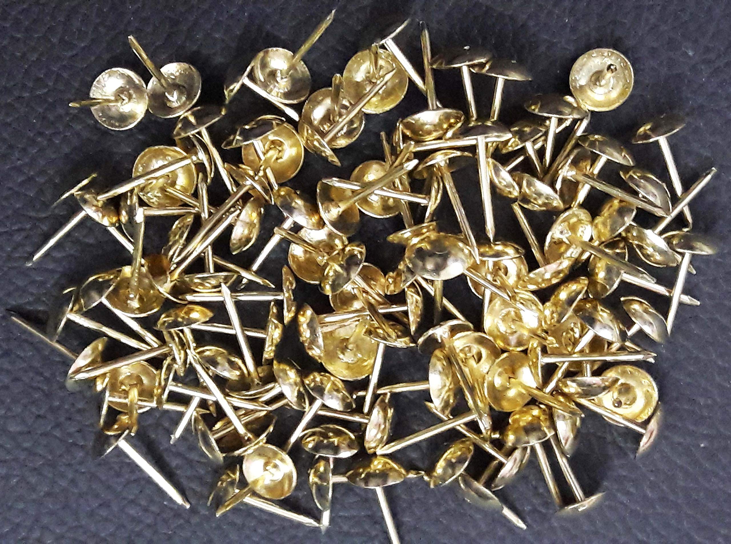 Tia 50 Pcs Gold Brass Sofa Nails 1.2mm x 14mm, Premium Golden Push Nails, Curtain Fasteners
