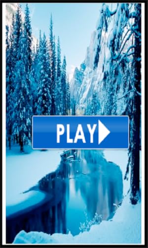 Winter Puzzles