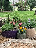 Vista 6 de Contenedor Smart Pots con laterales suaves y asas, Bronceado