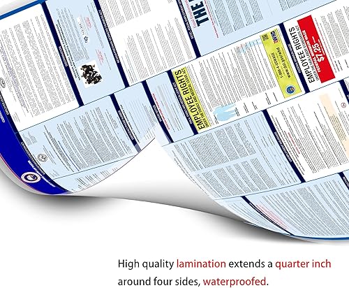 Miniatura 7 de Póster de cumplimiento y derecho laboral todo en uno de Florida FL 2024 (Estado federal y OSHA)