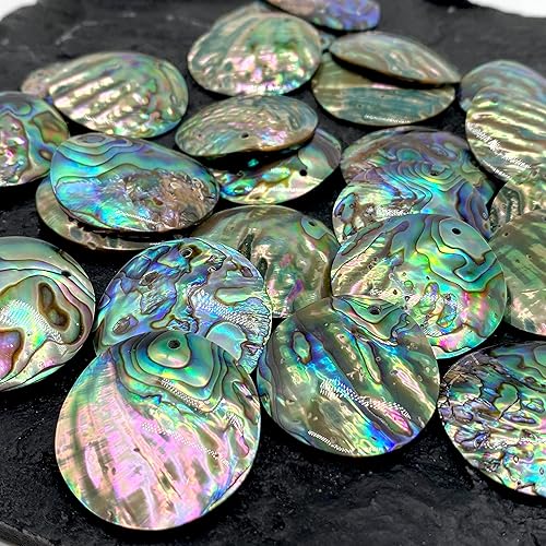 Miniatura 4 de Padre - Colgante cóncavo de concha de abulón de Nueva Zelanda, Concha