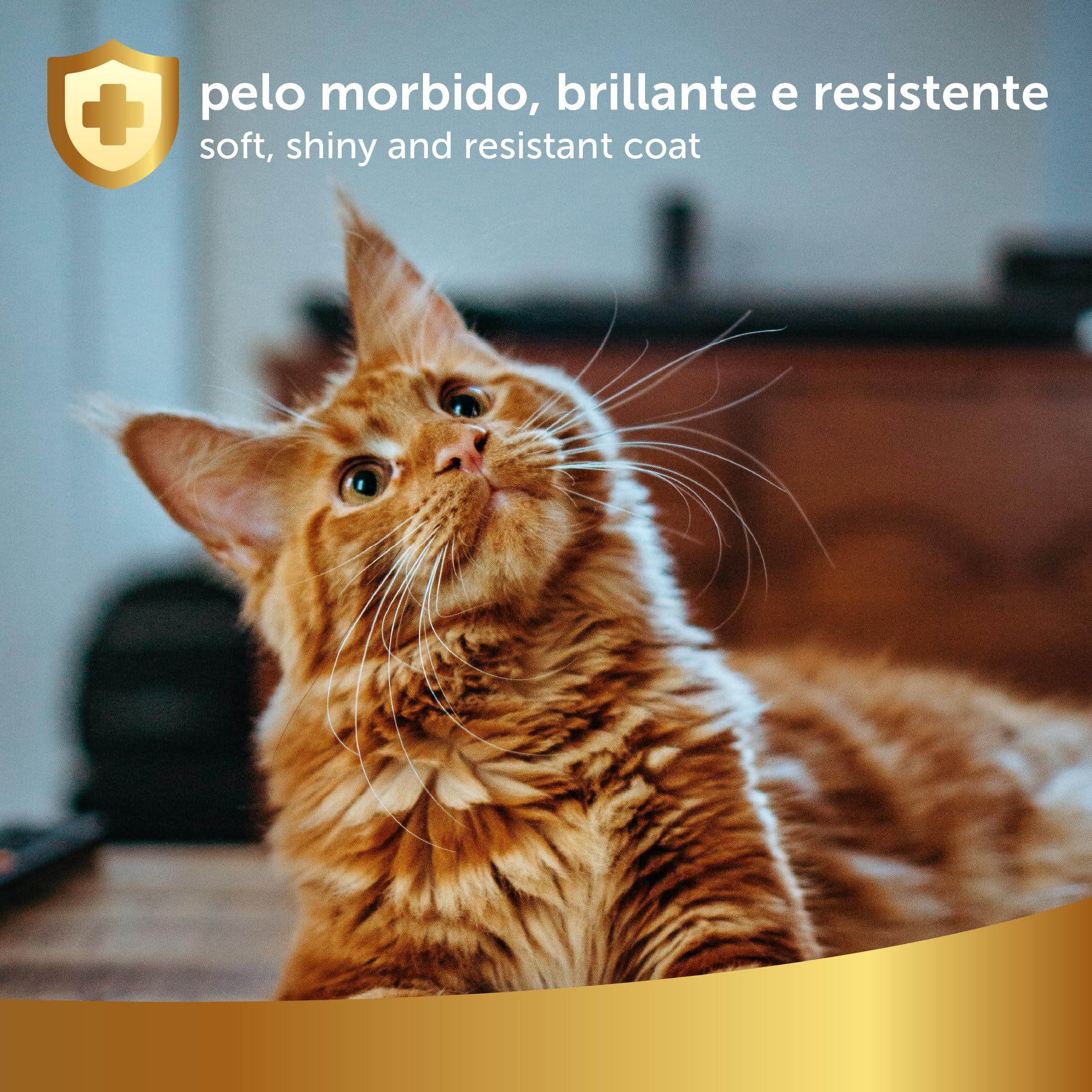 Linea 101 Spray Demelant Chat Poils Longs Naturel 500ml Démêlant Chat Poils Longs Parfum Chats Délicat Soin Vegan pour Poil Doux et Brillant sans Rinçage Tous Types de Pelage