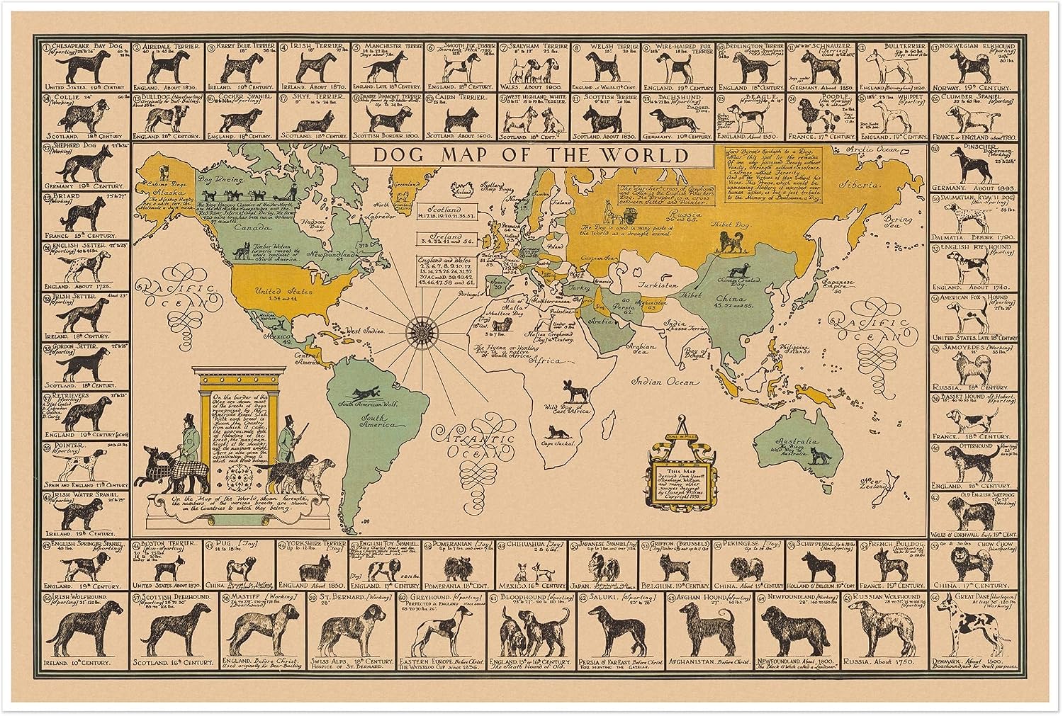 Antiguos Maps Dogs of the World by Joseph P. Sims circa 1933 | Breed Illustrations Educational Wall Decor Historical Art Reprint (16 x 24 inches)
