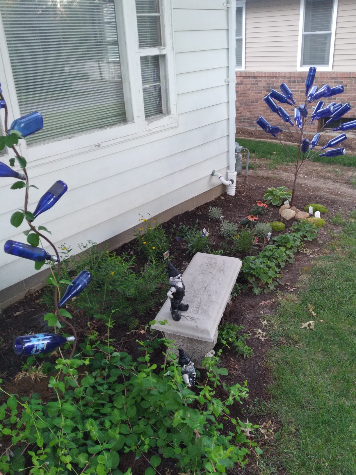 Beautiful bottles for my bottle trees.