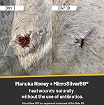 Absorbine Silver Honey - Healthy & pH Balanced Skin Care - Natural Manuka Honey & MicroSilver BG - Soothing Spray 236.6ml