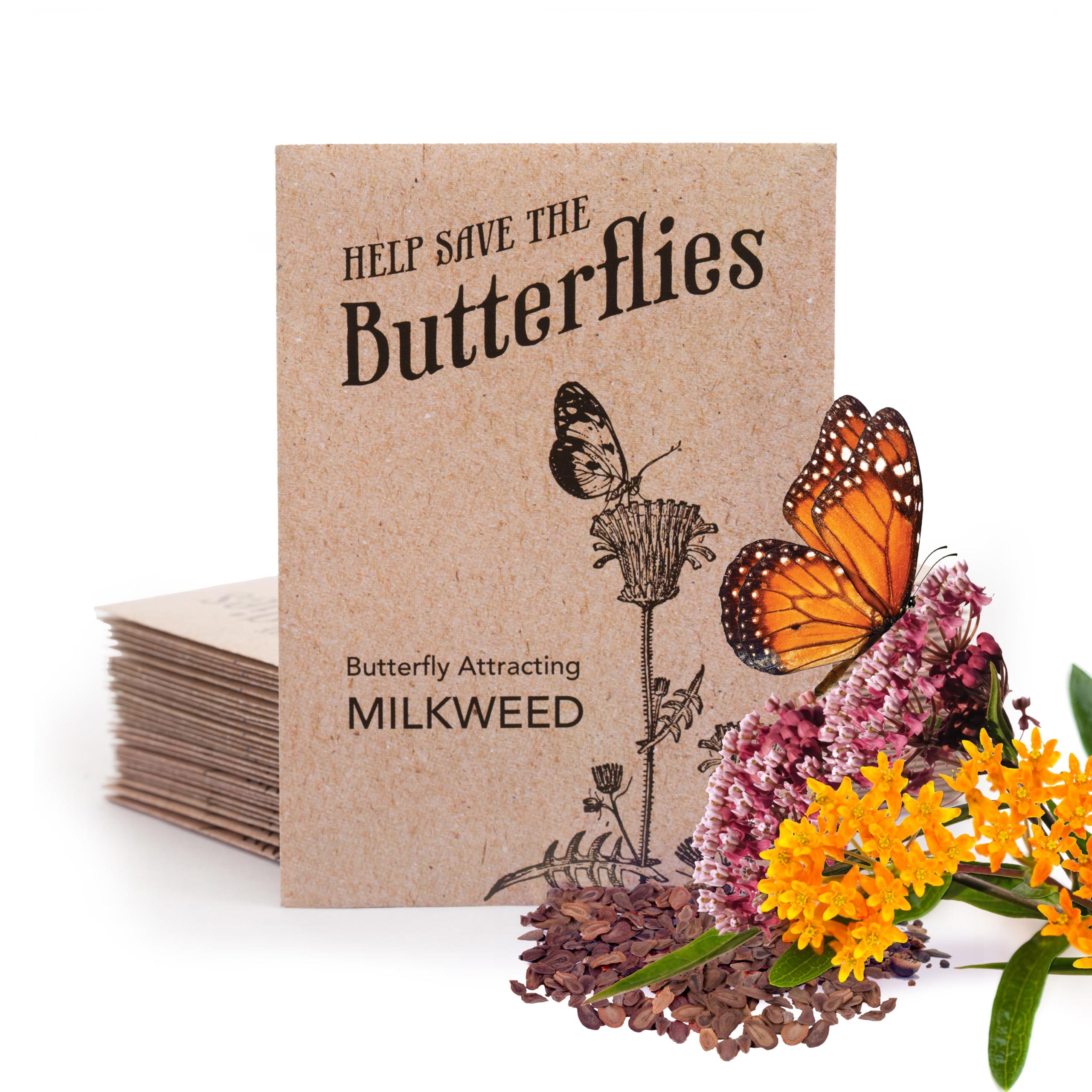 Bentley Seeds Co. Bulk Pack of 25 Milkweed Seed Packets