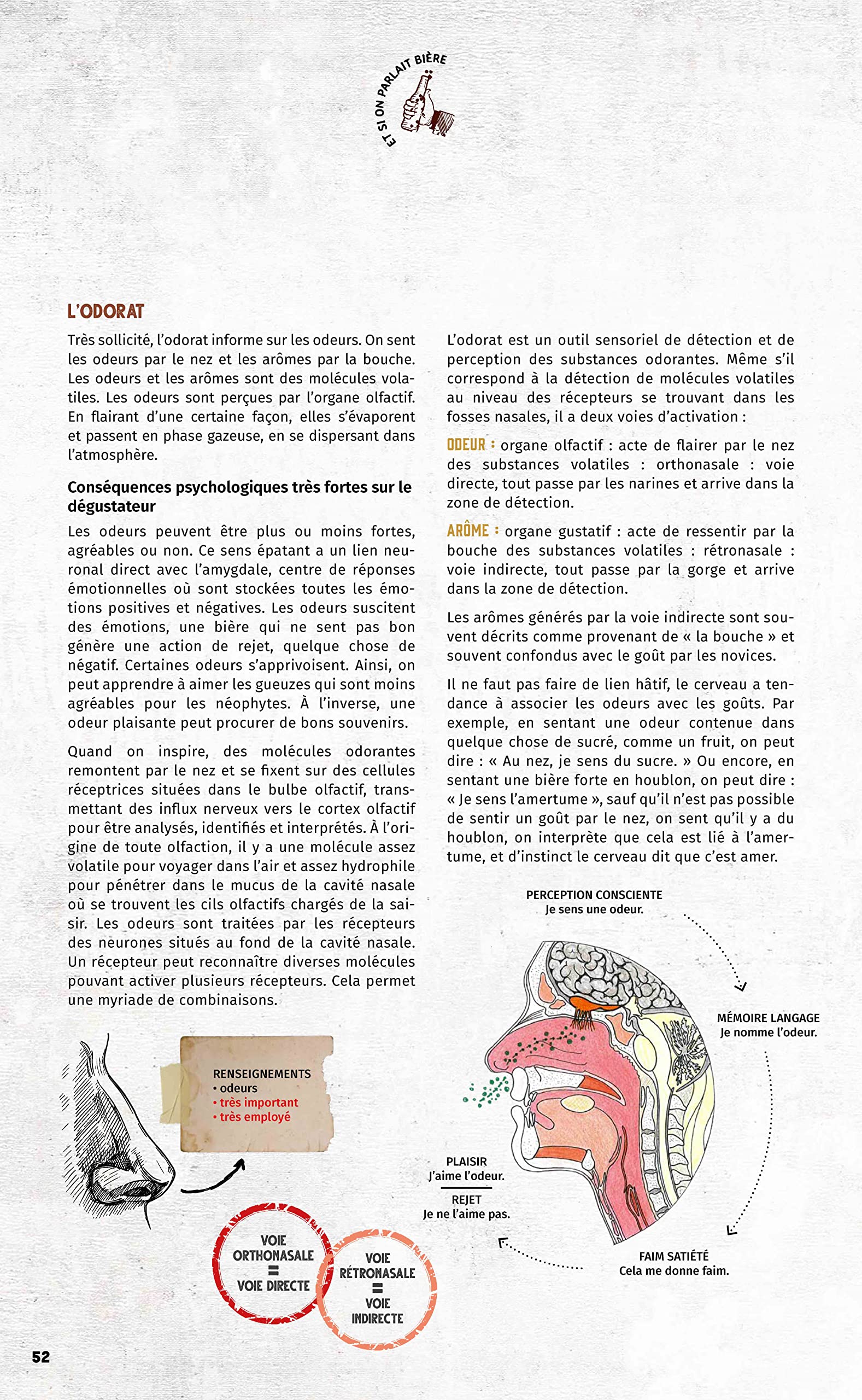 Et si on parlait bière: Service de la bière, art de la dégustation, styles de bières, matières premières, étapes de fabrication, bières coups de coeur