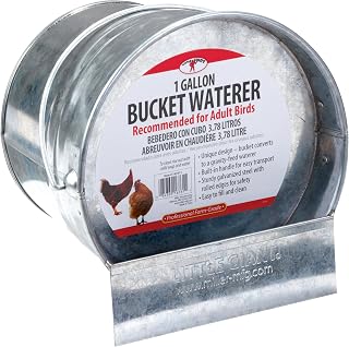 Little Giant® 2 in 1 Bucket Poultry Waterer | Galvanized Chicken Waterer | Poultry Fountain and Waterer | 1 Gallon