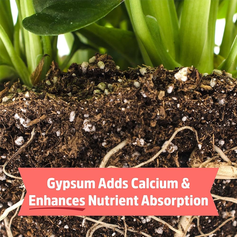 英LP Various Roots Supplement Part 1: Nature At Its Best GPLP016 Gussie P /00235 LP VARIOUS Roots Supplement Vol GPLP016 Gussie P Rec UK | eBay