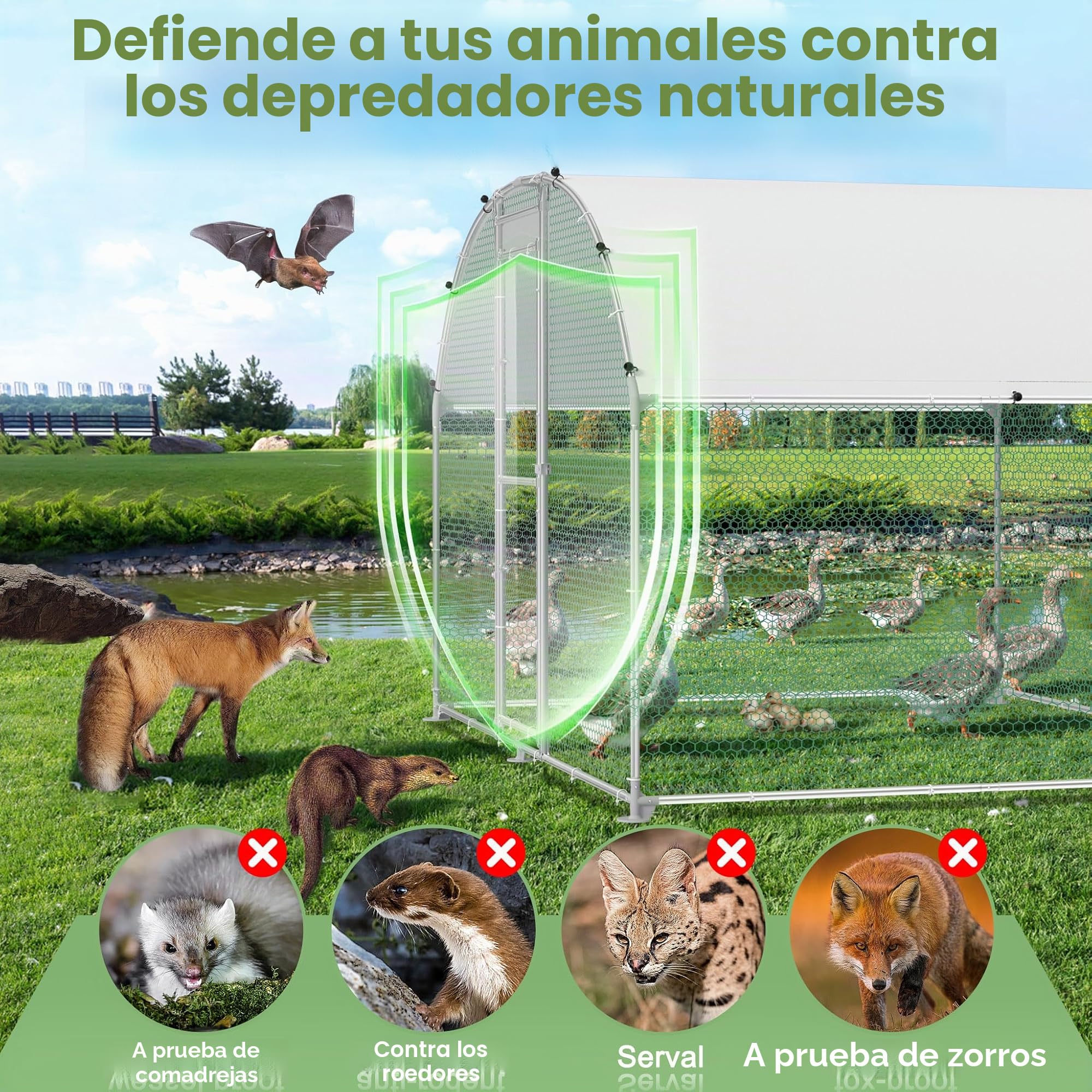 Jaula para gallinas y gallinero, de metal galvanizado, 3 x 8 m, resistente al invierno, con techo solar y cerradura, para animales pequeños y aves de corral