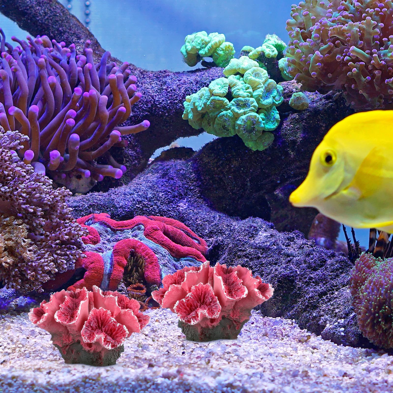 COOPHYA Künstliche Korallenriff Dekorationen aus Polyester für Aquarium und Fischbecken Ungiftig und Leicht zu Reinigen zur Dekorativen Landschaftsgestaltung im Aquarium Haustier