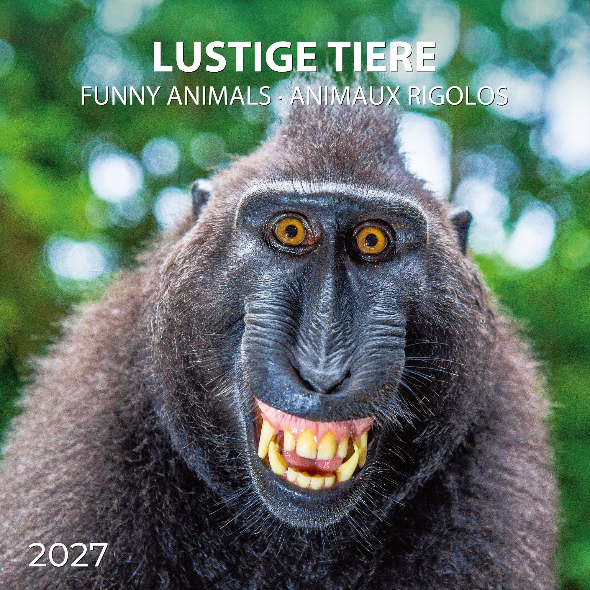 Lustige Tiere / Funny Animals 2027: Kalender 2027