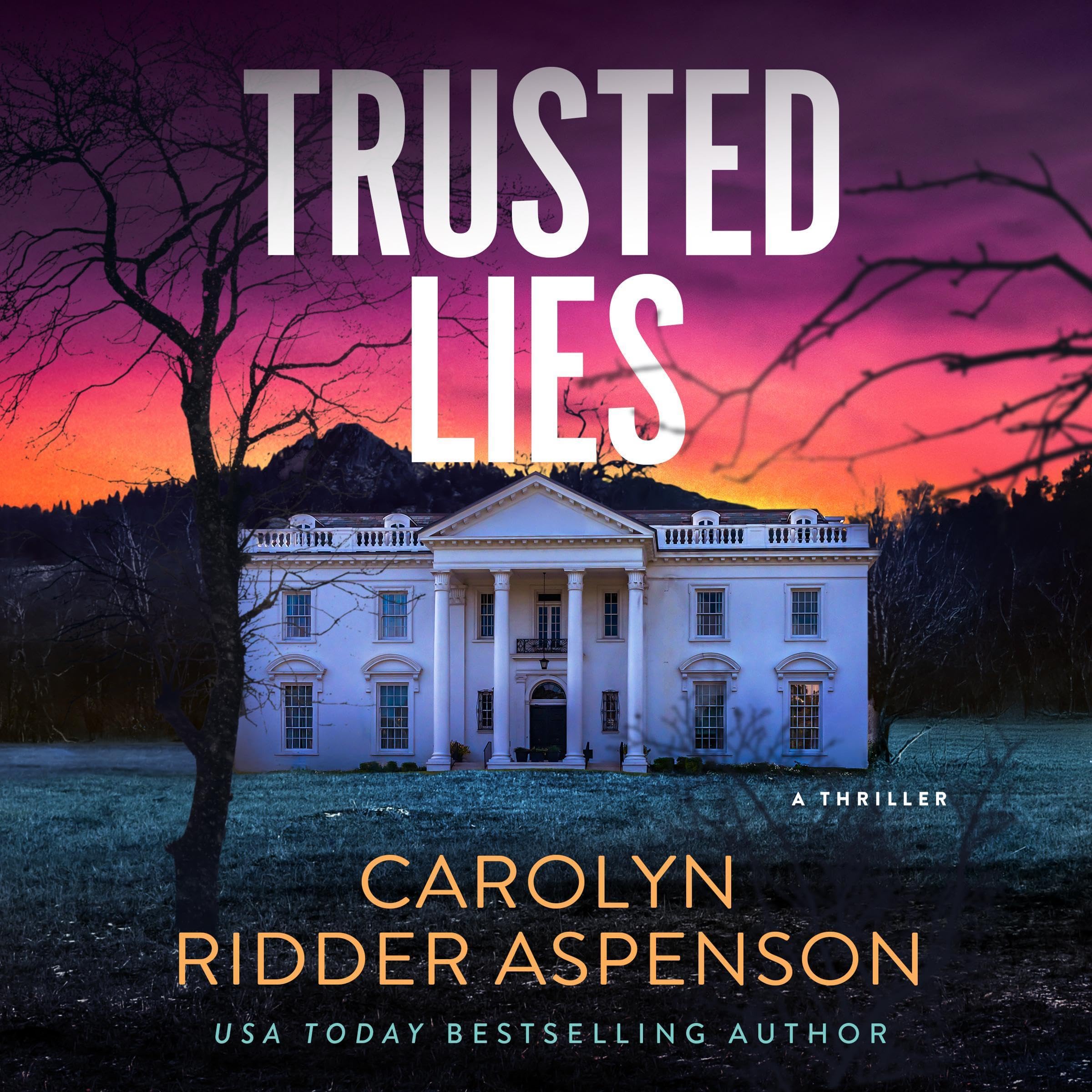 Cover art for Trusted Lies