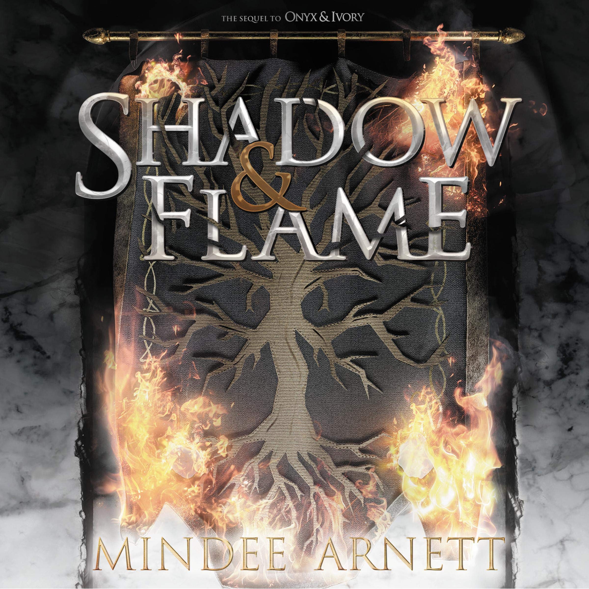 Cover art for Shadow & Flame