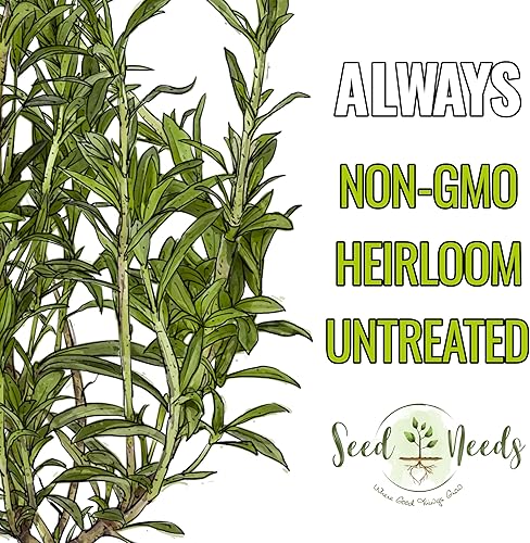 Miniatura 5 de Seed Needs Semillas saladas de verano para plantar hierbas, semillas de hierbas anuales sin OMG y sin tratar para plantar un jardín de cocina