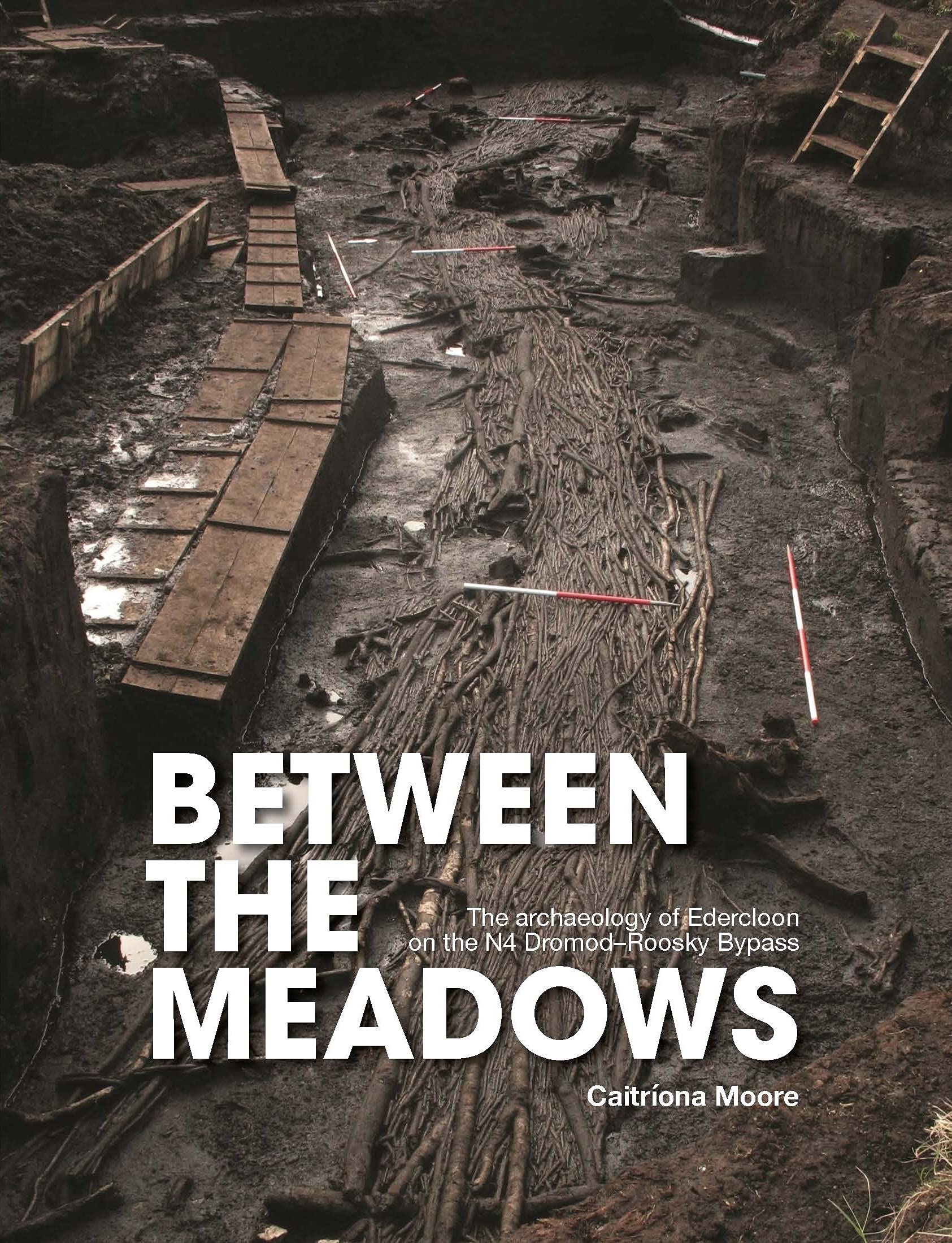 Between the Meadows: The archaeology of Edercloon on the N4 Dromod-Roos