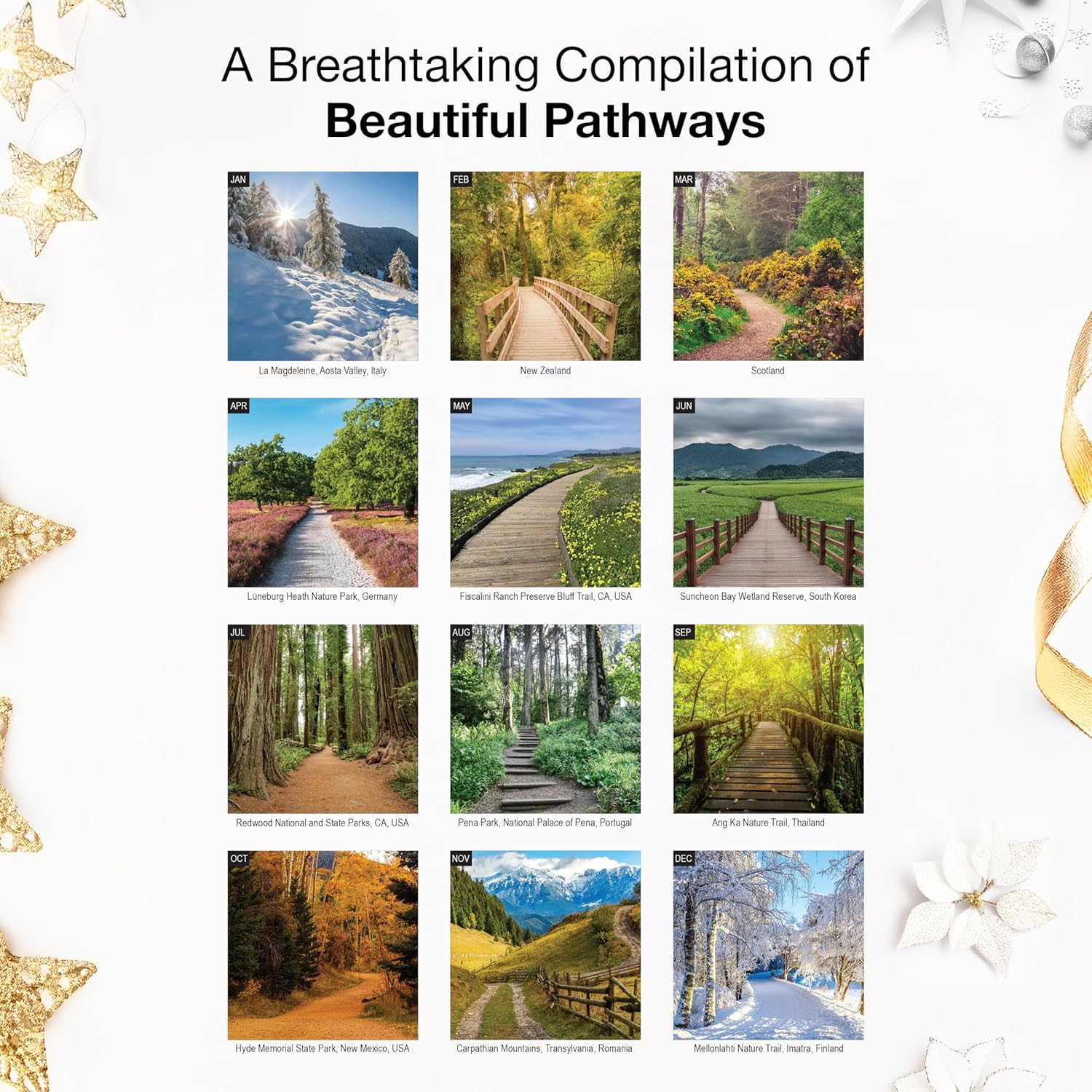 RED EMBER Untamed & Beautiful Pathways 2026 Wall Calendar 12 Month | 12 x 24 Open | Thick & Sturdy Paper | Giftable | Scenic Nature Calendar 2026