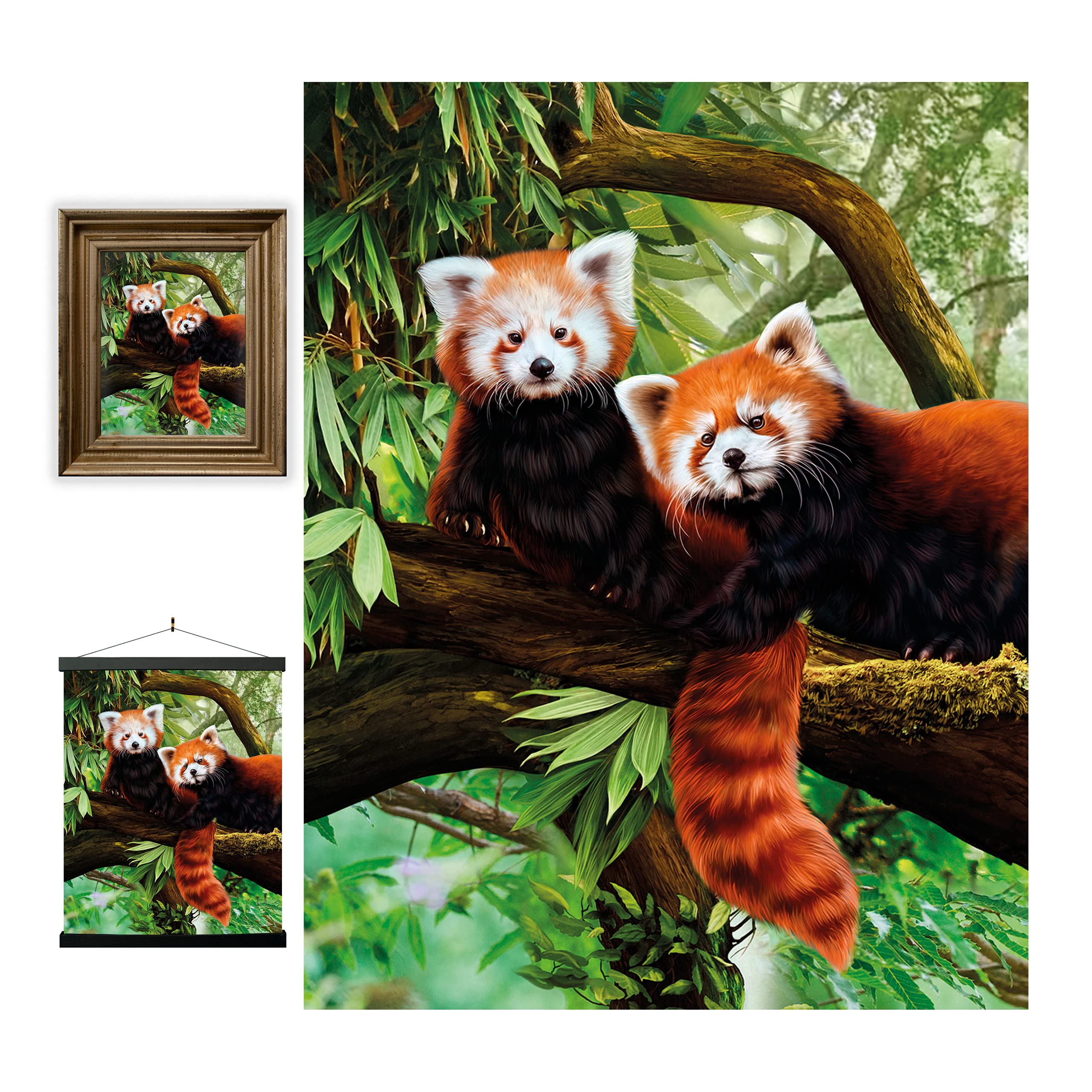 Buy 3D LiveLife Lenticular Wall Art Prints Red Pandas from Deluxebase