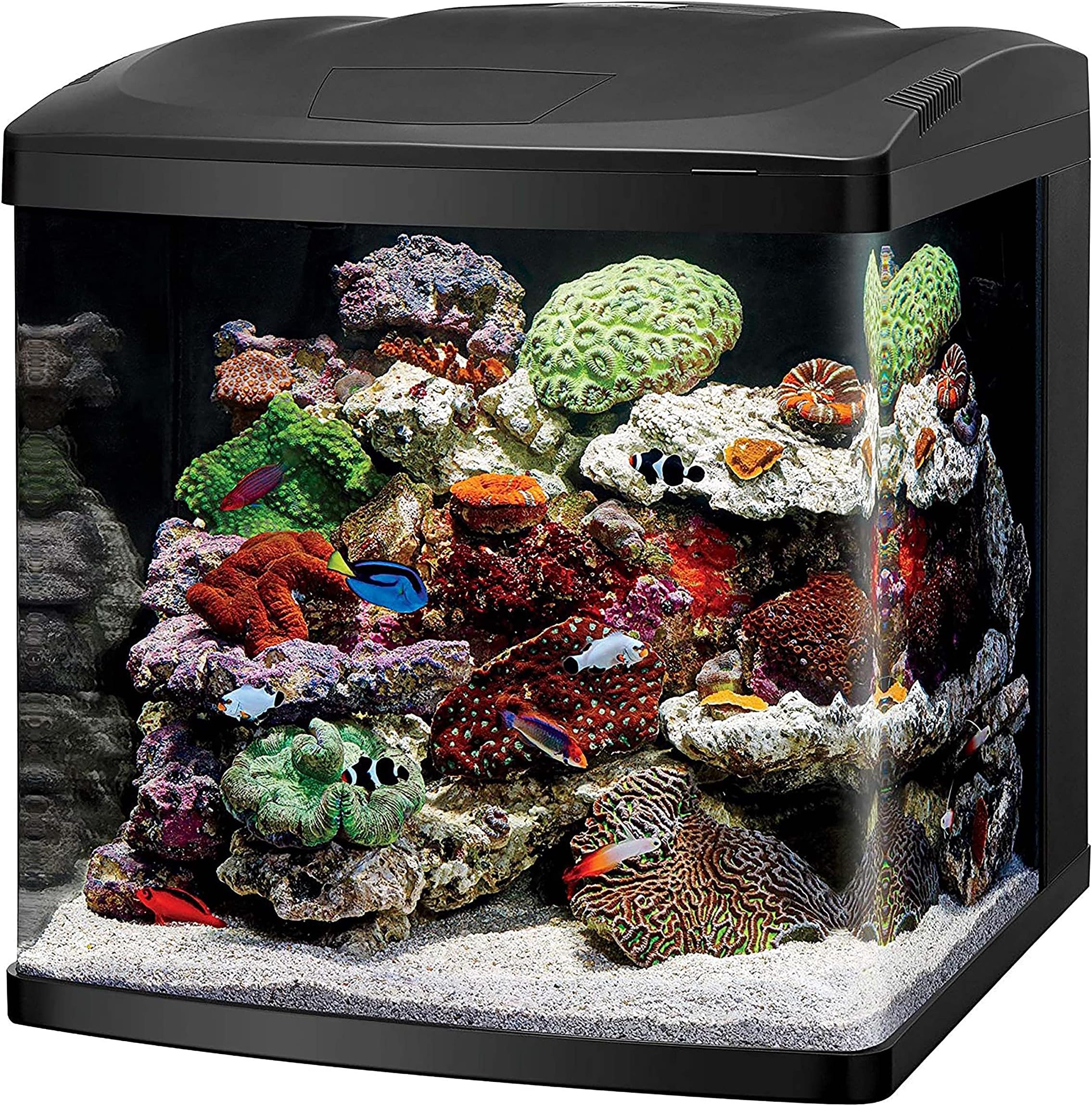Amazon.com : Waterbox Aquariums AIO 15 Peninsula Freshwater Aquarium ...
