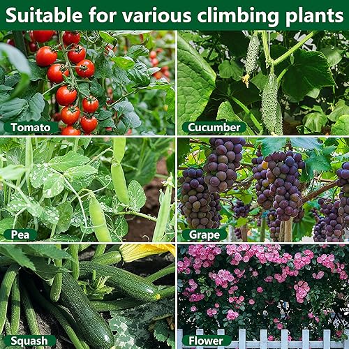 Miniatura 5 de codree Enrejado de pepino de jardín para plantas, 47 x 47 pulgadas, enrejado de melón de arco de metal para cama elevada, enrejado plegable con