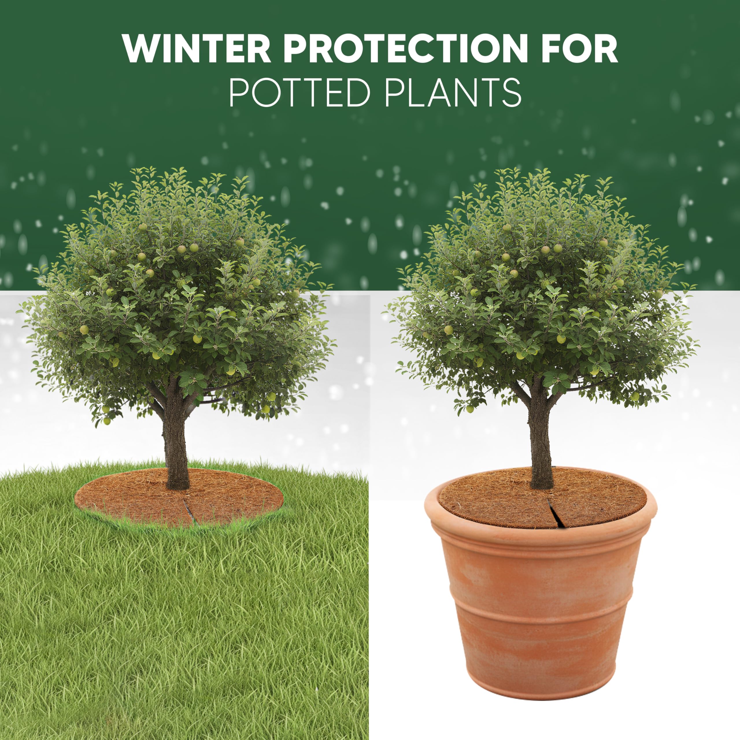 greentex Kokos Mulchscheiben 80 cm Ø – 5 Stück | 100% natürliche Kokosfaser | Winterschutz & Frostschutz für Topfpflanzen & Kübel | Unkrautschutz Abdeckscheiben Pflanzenschutz