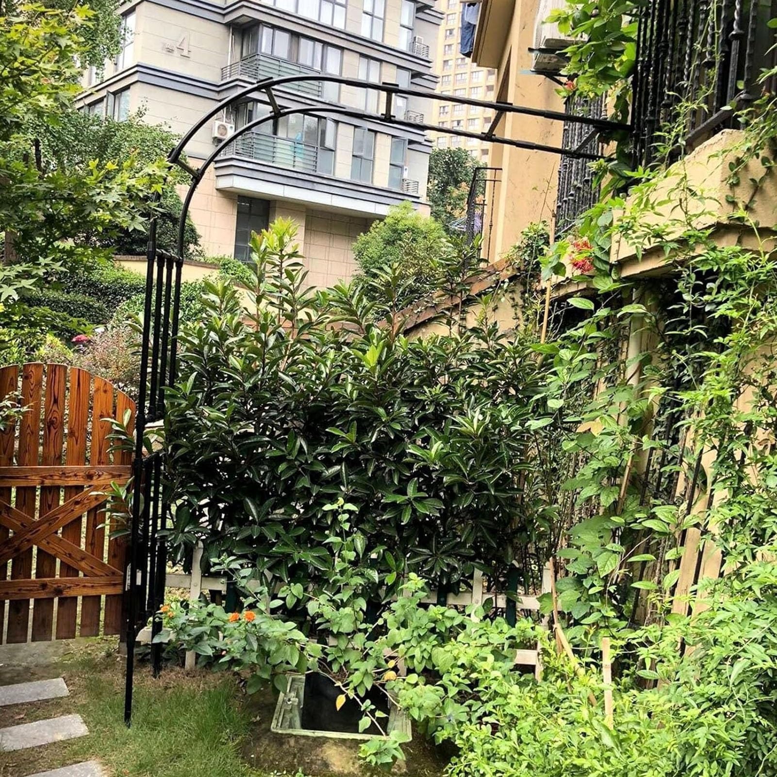 Pergola en métal tuteur grande hauteur pour guider les rosiers grimpants
