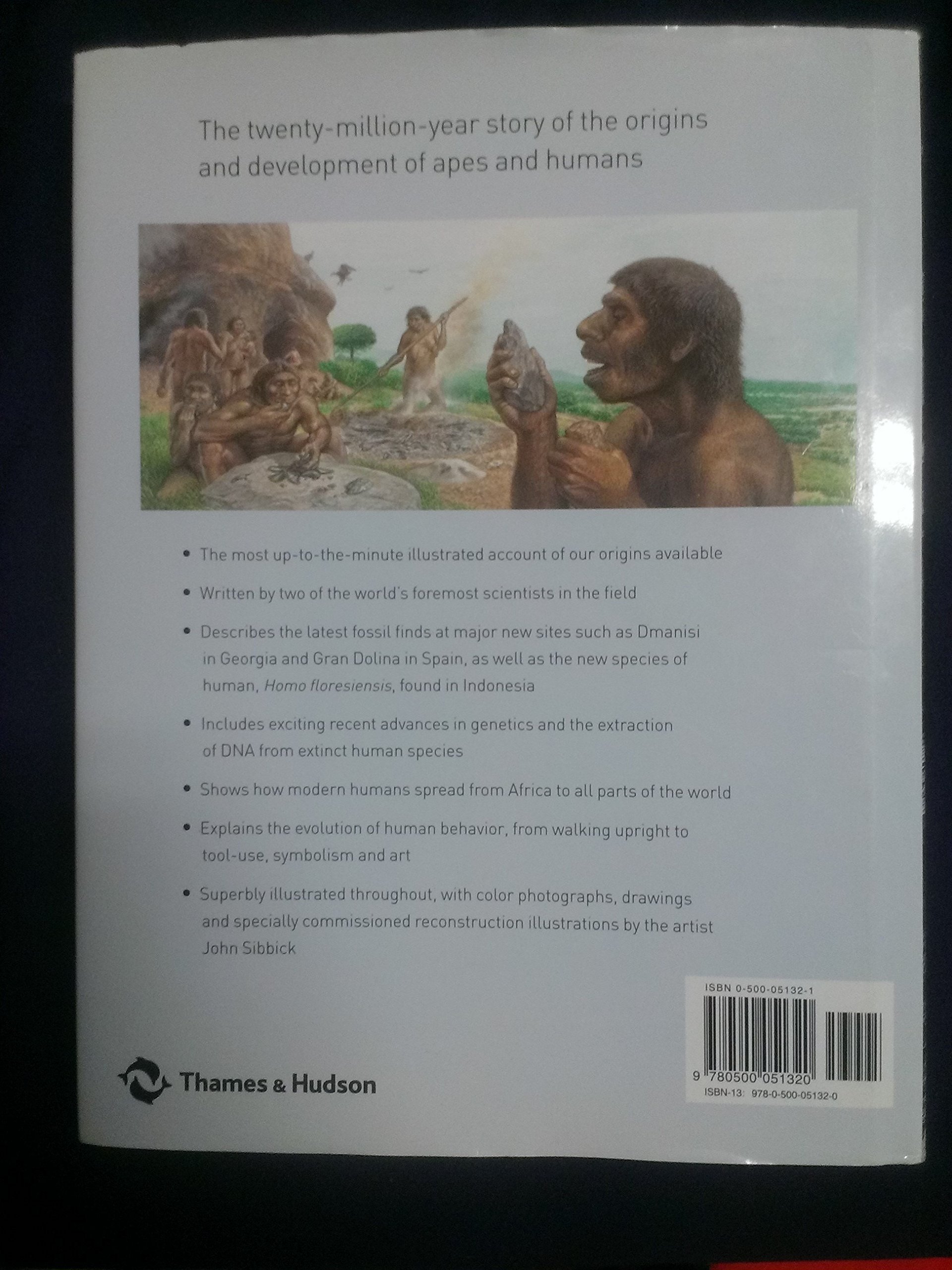 The Complete World Of Human Evolution
