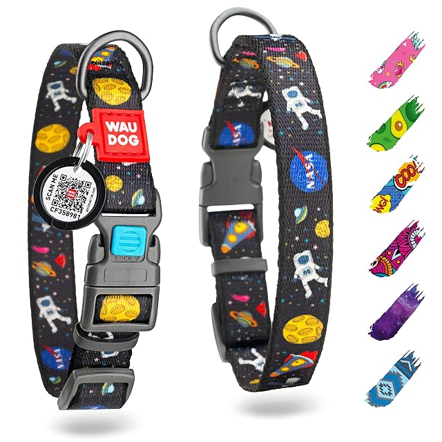 Collar de perro ajustable para perros grandes