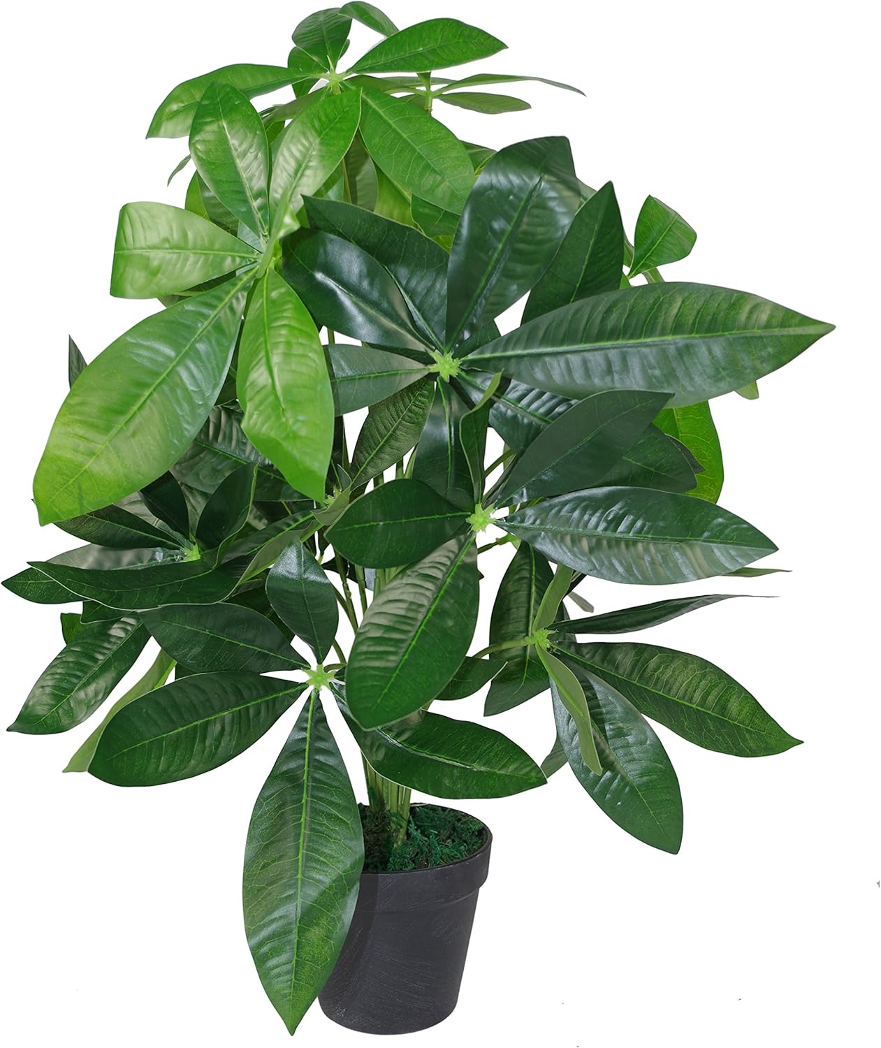 Leaf Design UK Realistic Artificial Foliage Plant with Pot, Green, 50cm