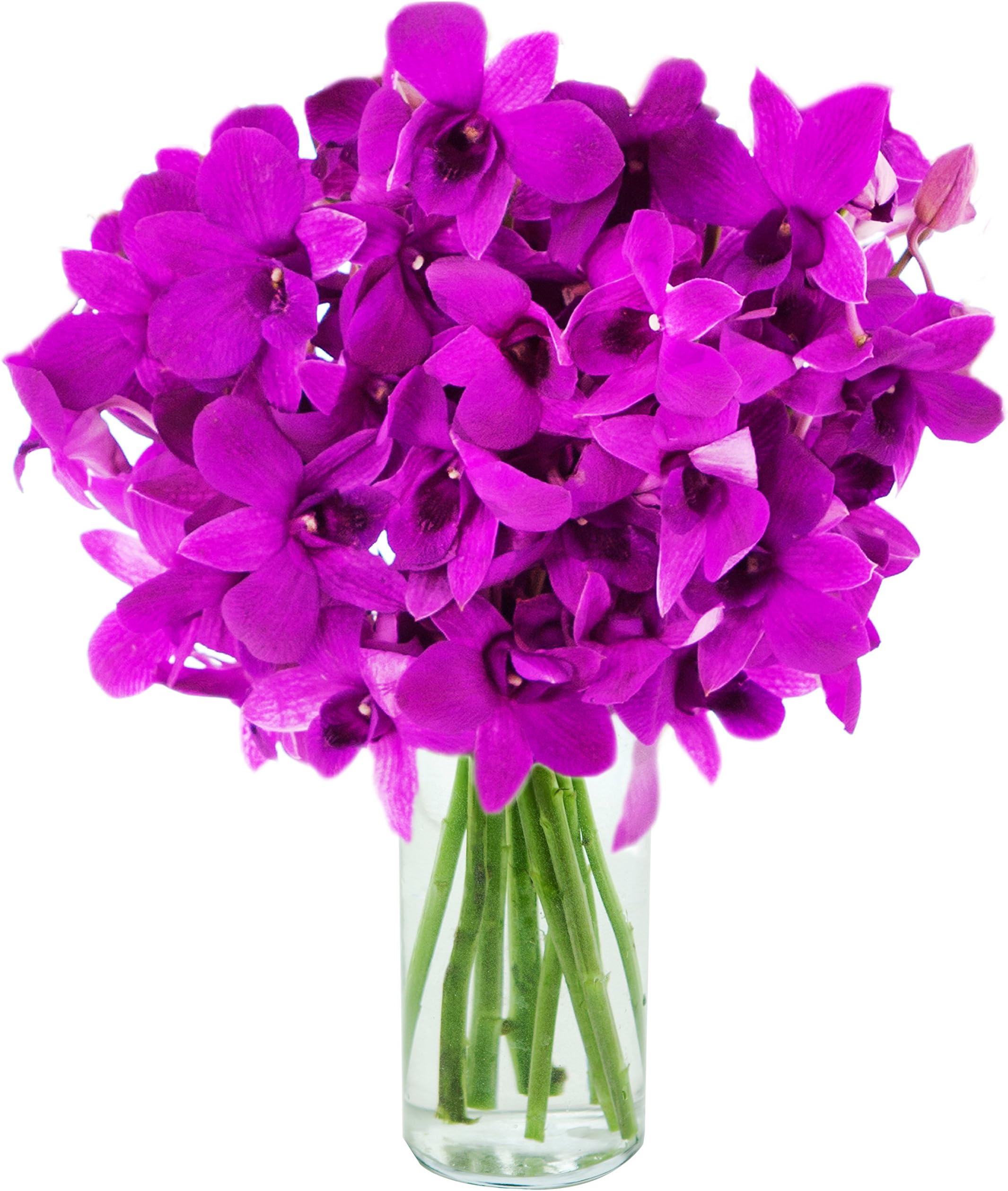 KaBloom - The Ultimate Purple Bouquet of 20 Purple Orchids with Vase - Fresh Flowers for Birthday, Valentine's & Mother's Day