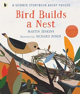 Bird builds a nest