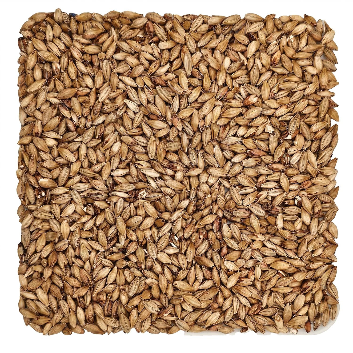 Home Brew Ohio Avangard Malz Premium Munich Malt Dark 15L Grain 55lb