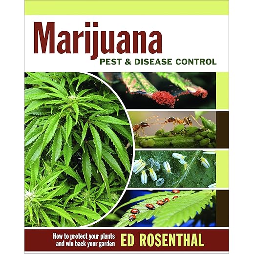 Marijuana Pest and Disease Control: How to Protect Your Plants and Win Back Your Garden
