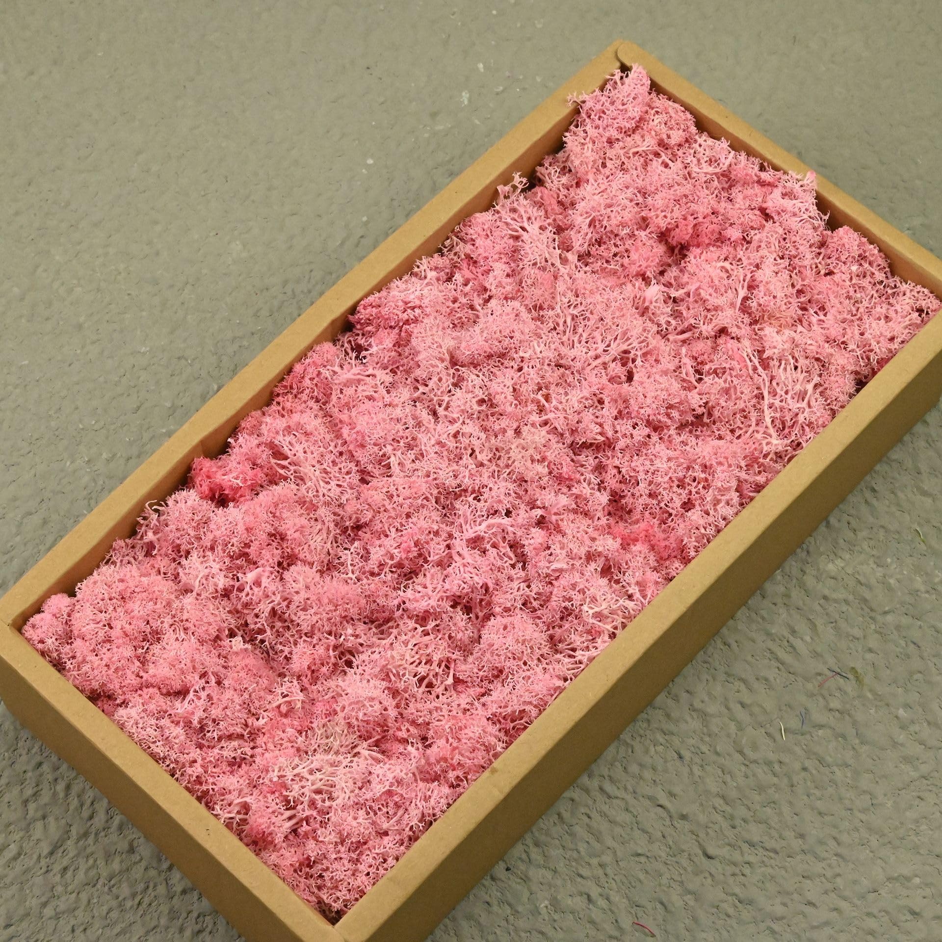 AGARES Preserved Reindeer Moss, Natural Stabilized Moss for Moss Wall, DIY Crafts, Frames, Terrariums, Artificial Plant Decoration, Long-Lasting No Maintenance (Sweet Pink, 100g)