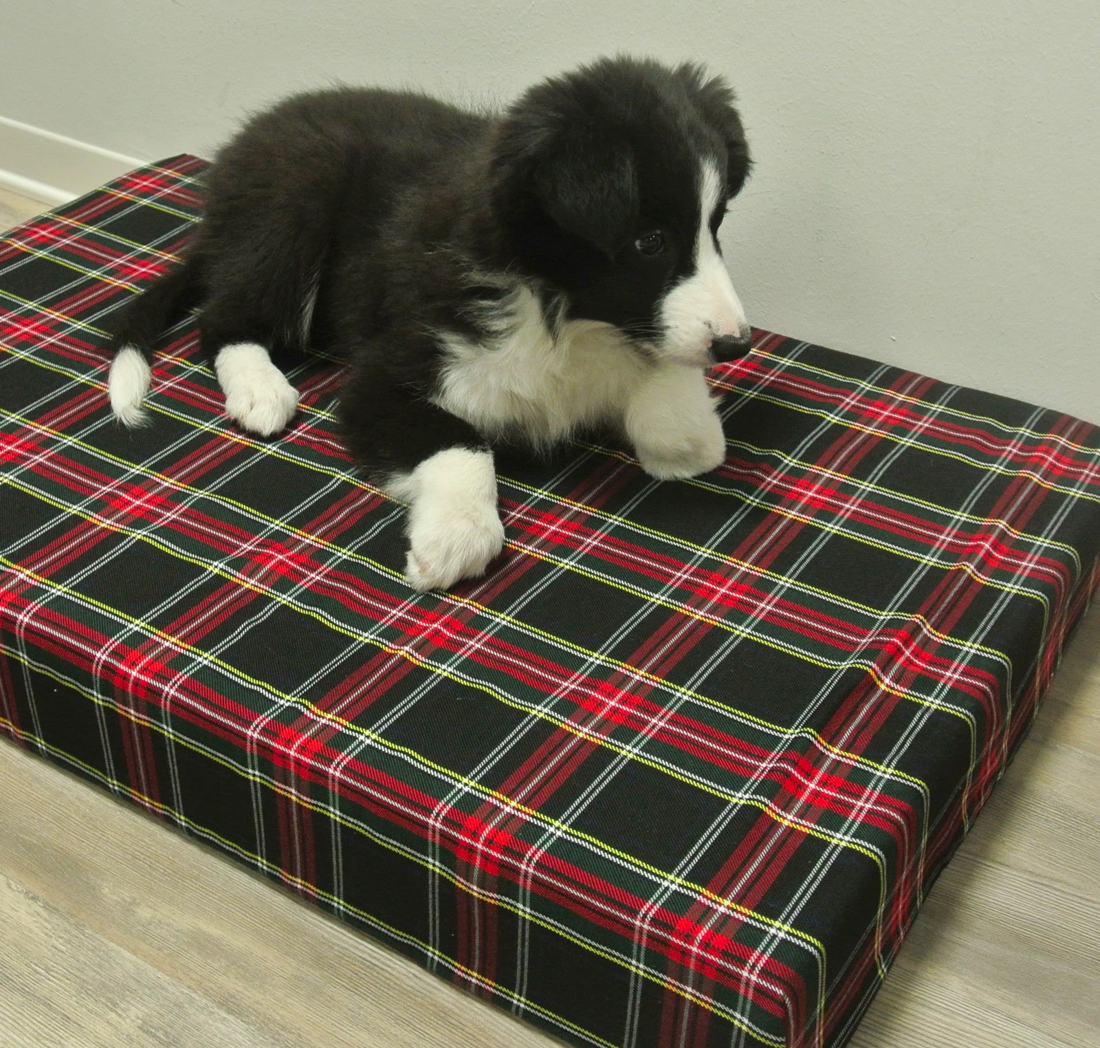 Baldiflex Materassino Cuccia Letto Cuscino Morbida per Cane Berny con Memory Foam h 10 cm, 100x60x10 cm, 8 + 2 cm Memory